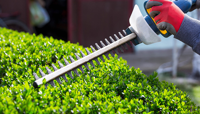 Garden Maintenance - Gold Coast - Why A Garden Maintenance Company Is Not Just A Lawn Mowing Service